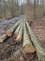 img-20231116-wa0020.jpg