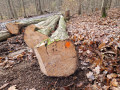 img-20231116-wa0021.jpg
