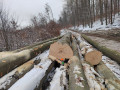 img_20231130_103519.jpg