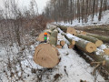 img_20231130_103549.jpg