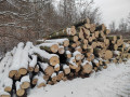 img_20231130_103627.jpg