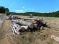 img-20240806-wa0013.jpg