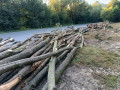 img-20240809-wa0006.jpg