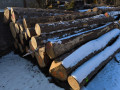 img-20250204-wa0038.jpg