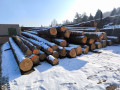 img-20250204-wa0037.jpg