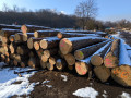 img-20250204-wa0036.jpg