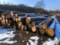 img-20250204-wa0035.jpg