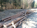 img-20250320-wa0002.jpg