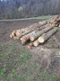 img-20250331-wa0008.jpg