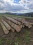 img-20250331-wa0006.jpg