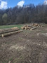 img-20250331-wa0003.jpg