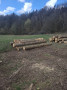 img-20250331-wa0002.jpg