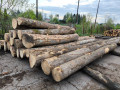 img-20250424-wa0005.jpg