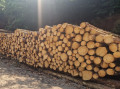 img-20250610-wa0001_1.jpg