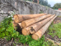 img-20250708-wa0004.jpg