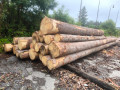img-20250708-wa0005.jpg