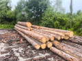 img-20250708-wa0006.jpg