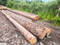img-20250708-wa0007.jpg