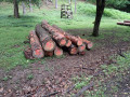 img-20260611-wa0017.jpg