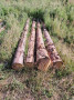 img-20260724-wa0012.jpg