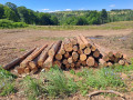 img-20260724-wa0020.jpg