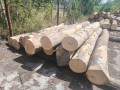 img-20260728-wa0003.jpg