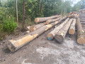 img-20260728-wa0001.jpg
