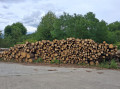 img-20260819-wa0005.jpg