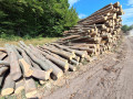 img-20260820-wa0016.jpg