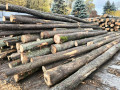 img-20261026-wa0006.jpg