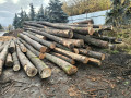img-20261026-wa0008.jpg