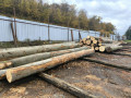 img-20261026-wa0012.jpg