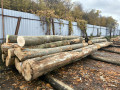 img-20261026-wa0011.jpg