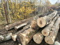 img-20261026-wa0013.jpg