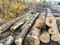 img-20261026-wa0014.jpg
