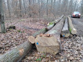img_20231127_133447.jpg