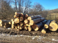 img-20240212-wa0031.jpg