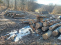 img-20240212-wa0032.jpg
