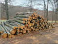 img-20240212-wa0033.jpg