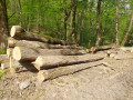 img-20240513-wa0026.jpg