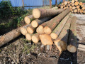 img-20240918-wa0011.jpg
