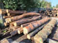 img-20240918-wa0012.jpg