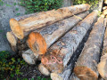 img-20240918-wa0013.jpg