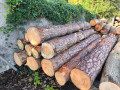 img-20240918-wa0014.jpg