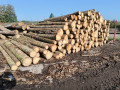 img-20240918-wa0017.jpg