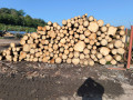 img-20240918-wa0018.jpg