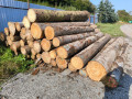 img-20240918-wa0019.jpg