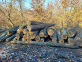 img-20241106-wa0030.jpg