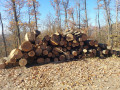img-20241106-wa0035.jpg