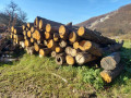 img-20241106-wa0037.jpg